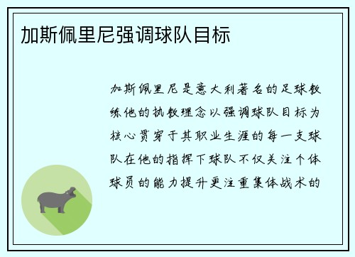 加斯佩里尼强调球队目标