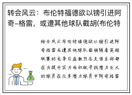 转会风云：布伦特福德欲以镑引进阿奇-格雷，或遭其他球队截胡(布伦特福德足球俱乐部)