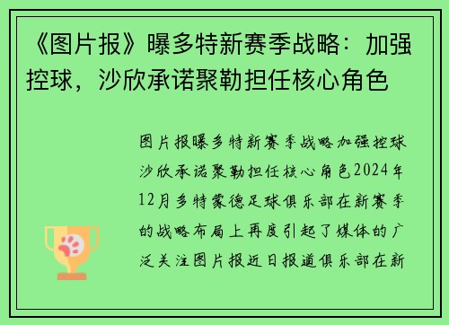 《图片报》曝多特新赛季战略：加强控球，沙欣承诺聚勒担任核心角色