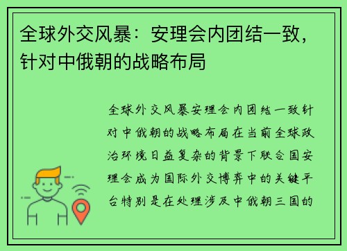全球外交风暴：安理会内团结一致，针对中俄朝的战略布局