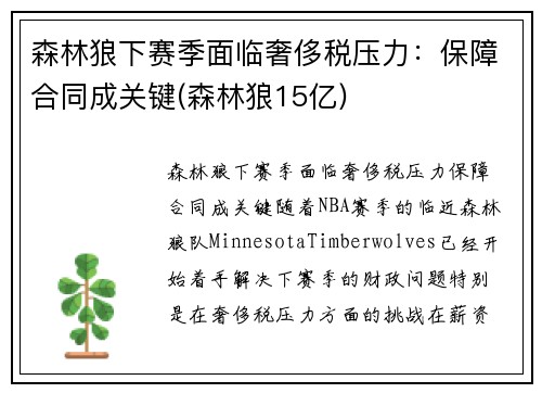 森林狼下赛季面临奢侈税压力：保障合同成关键(森林狼15亿)